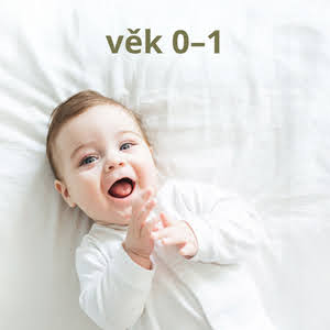 Vek cz - 1